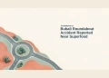 Conceptual paper-cut editorial illustration of a generic circular road ring with coral and teal planes, with the Bubali roundabout headline and ArubaNews.ca branding; not the actual roundabout or accident.