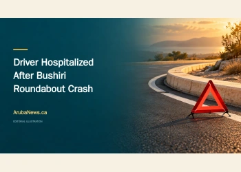 Editorial illustration of a curved road island, warning triangle and road markings; not a photograph of the Bushiri crash.