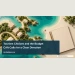 Conceptual editorial illustration of a conceptual aerial coastline model with a few simple unbranded building blocks beside a blank budget notebook, sea-green and cream palette, no exact island map, text or real development plan; not a documentary photograph of the people, venue or event.