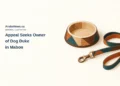 Conceptual marquetry illustration of a generic empty pet bowl and coiled leash; not Duke, its actual belongings, a sighting or Mabon.