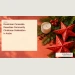 Conceptual editorial illustration of paper stars and seasonal decorations on a sunlit tabletop; not a photograph of the Dominican consulate celebration.