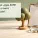 Conceptual editorial illustration of a wooden tree model, blank clipboard and magnifying glass, with the article headline and ArubaNews.ca branding; not the actual disputed tree.