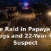 Police Raid in Papaya Nets Drugs and 22-Year-Old Suspect Police Raid in Papaya Nets Drugs and 22-Year-Old Suspect
