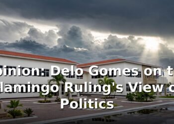 Opinion: Delo Gomes on the Flamingo Ruling's View of Politics