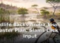 Birdlife Backs Aruba Tourism Master Plan, Slams Lack of Input