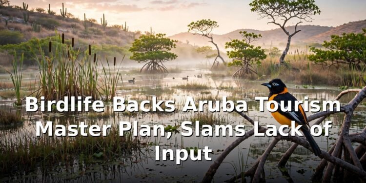 Birdlife Backs Aruba Tourism Master Plan, Slams Lack of Input Birdlife Backs Aruba Tourism Master Plan, Slams Lack of Input