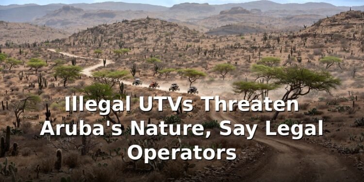 Illegal UTVs Threaten Aruba's Nature, Say Legal Operators