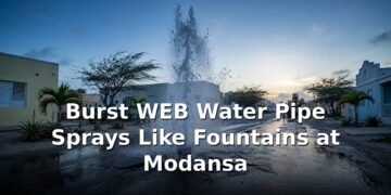 Burst WEB Water Pipe Sprays Like Fountains at Modansa