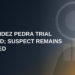 Fernandez Pedra Trial Delayed as Judge Keeps Suspect Detained