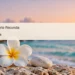 Francis Mario Fecunda’s Death Announced; Farewell Details Pending Conceptual editorial illustration; a single white flower and smooth pale stones near a softly blurred Caribbean shoreline, gentle dawn light, muted cream and blue colors, wide minimal composition. Not a documentary image of the reported event.