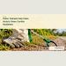 Police Trainees Help Clean Aruba’s Green Corridor Roadsides Conceptual editorial illustration of work gloves, a collection sack and litter grabber beside a tropical roadside; not a photograph of the police trainees.