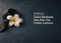 Conceptual editorial illustration of a single white flower beside a plain ribbon on a neutral surface; not a photograph of Julian Rambalde, his family or the collision scene.