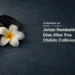 Julian Rambalde Dies After Pos Chikito Collision Conceptual editorial illustration of a single white flower beside a plain ribbon on a neutral surface; not a photograph of Julian Rambalde, his family or the collision scene.