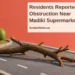 Editorial illustration of a wooden branch across a miniature road beside model trees, with the article headline and ArubaNews.ca branding; not a photograph of Madiki.