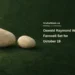 Conceptual editorial illustration of smooth pebbles on a simple dark surface; not actual personal belongings, a funeral venue or ceremony.