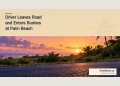 Driver Leaves Road and Enters Bushes at Palm Beach Conceptual editorial illustration of a quiet tropical roadside and bushes at dawn; not a photograph of the Palm Beach crash.