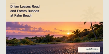 Driver Leaves Road and Enters Bushes at Palm Beach Conceptual editorial illustration of a quiet tropical roadside and bushes at dawn; not a photograph of the Palm Beach crash.