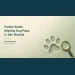 Conceptual editorial illustration of an embossed pawprint and magnifying glass on sage paper, with the missing dog Papa search headline and ArubaNews.ca branding; not a photograph of the missing pet.
