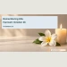 Petronella Romberg Becker Farewell Set for October 26 Conceptual editorial illustration of a single white flower beside a softly glowing candle on a pale neutral surface, quiet side lighting, no portrait, religious symbols or writing; not a documentary photograph of the people, venue or event.
