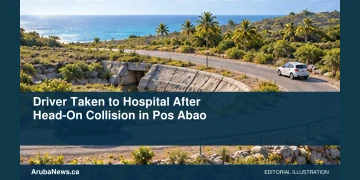 Conceptual editorial illustration of two generic compact cars stopped far apart near a curved road and shallow drainage channel, high wide perspective, no damage close-ups, people, plates, logos or text. Not a photograph of the actual incident or location.
