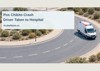 Conceptual editorial illustration of a generic roundabout and ambulance; not a photograph or reconstruction of the Pos Chikito crash.