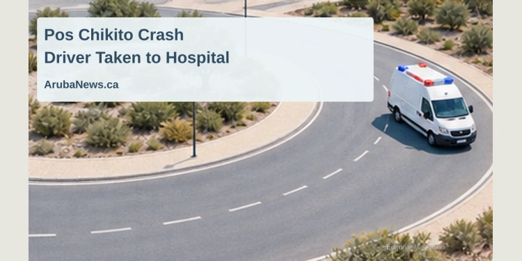Conceptual editorial illustration of a generic roundabout and ambulance; not a photograph or reconstruction of the Pos Chikito crash.