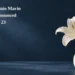Conceptual memorial illustration of a white lily in a plain cream vase on a midnight-blue tabletop, with the article headline and ArubaNews.ca branding; no portrait or documentary scene.
