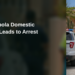 San Barbola Domestic Dispute Leads to Arrest