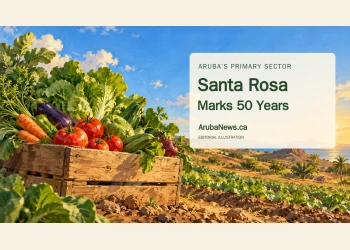 Conceptual editorial illustration of Aruba-grown vegetables and a farm plot; not a documentary image of Santa Rosa or its anniversary event.