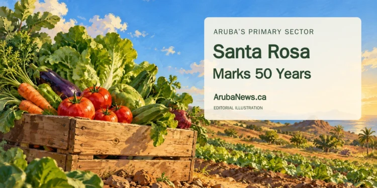 Santa Rosa Marks 50 Years With Aruba Food and Farming Celebration Conceptual editorial illustration of Aruba-grown vegetables and a farm plot; not a documentary image of Santa Rosa or its anniversary event.
