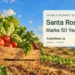 Santa Rosa Marks 50 Years With Aruba Food and Farming Celebration Conceptual editorial illustration of Aruba-grown vegetables and a farm plot; not a documentary image of Santa Rosa or its anniversary event.