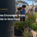 Santa Rosa Encourages Aruba Households to Grow Food