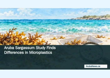 Conceptual editorial illustration of sargassum beside a sample tray and magnifier on a Caribbean beach, with the article headline and ArubaNews.ca branding.