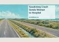 Conceptual editorial illustration of a quiet Caribbean roadside drainage ditch beside a divided road; no actual crash scene or identifiable vehicle is depicted.