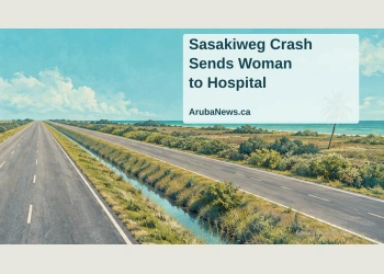 Conceptual editorial illustration of a quiet Caribbean roadside drainage ditch beside a divided road; no actual crash scene or identifiable vehicle is depicted.
