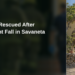 Woman Rescued After Overnight Fall in Savaneta