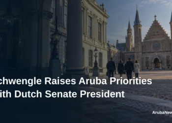 Schwengle Raises Aruba Priorities With Dutch Senate President