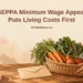 SEPPA Minimum Wage Appeal Puts Living Costs First Conceptual editorial illustration of a worker’s hands arranging a modest basket of vegetables and an unmarked pay envelope on a kitchen table, with the article headline and ArubaNews.ca branding.