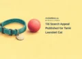 Conceptual colored-pencil illustration of a generic teal pet collar and round toy; not Titi, its actual collar or toy, a sighting or Tanki Leendert.