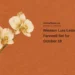 Conceptual editorial illustration of a simple orchid stem on a warm-toned surface; not a portrait, an actual funeral or the family’s belongings.